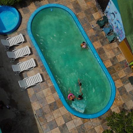 Los Amigos Jungle Hotel 托尔图格罗 外观 照片