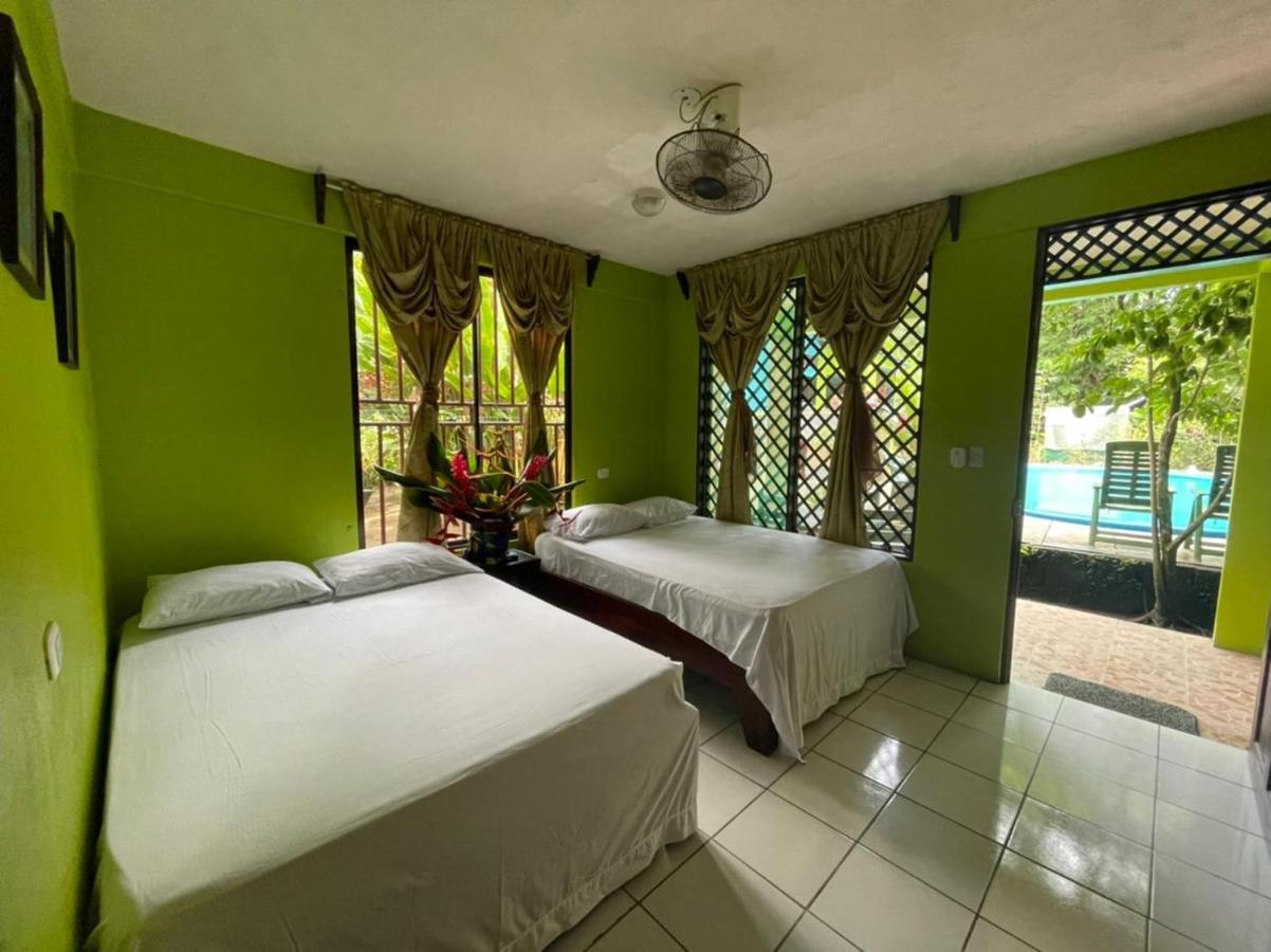 Los Amigos Jungle Hotel 托尔图格罗 外观 照片