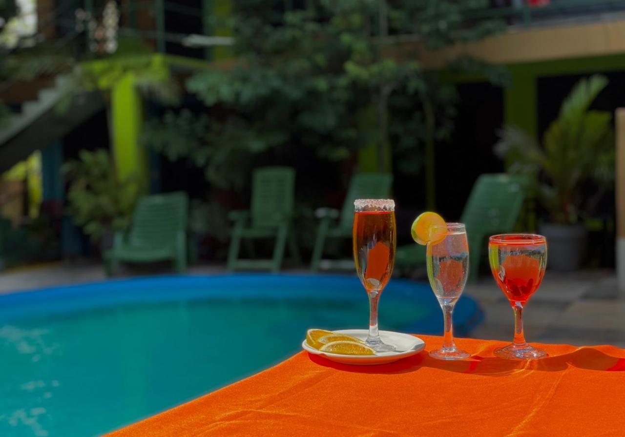 Los Amigos Jungle Hotel 托尔图格罗 外观 照片