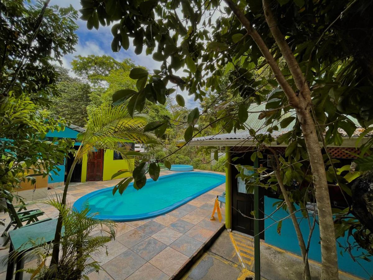 Los Amigos Jungle Hotel 托尔图格罗 外观 照片