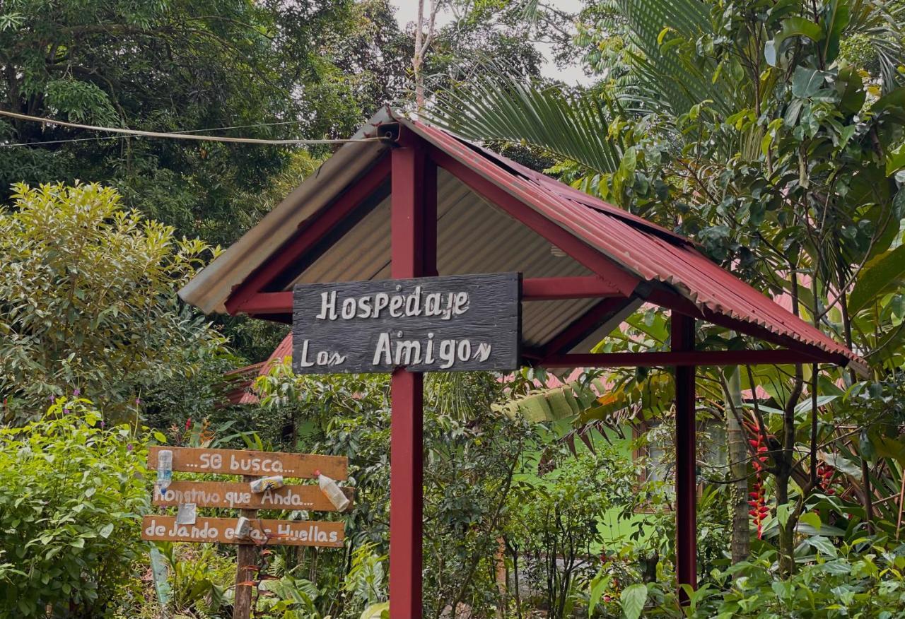 Los Amigos Jungle Hotel 托尔图格罗 外观 照片