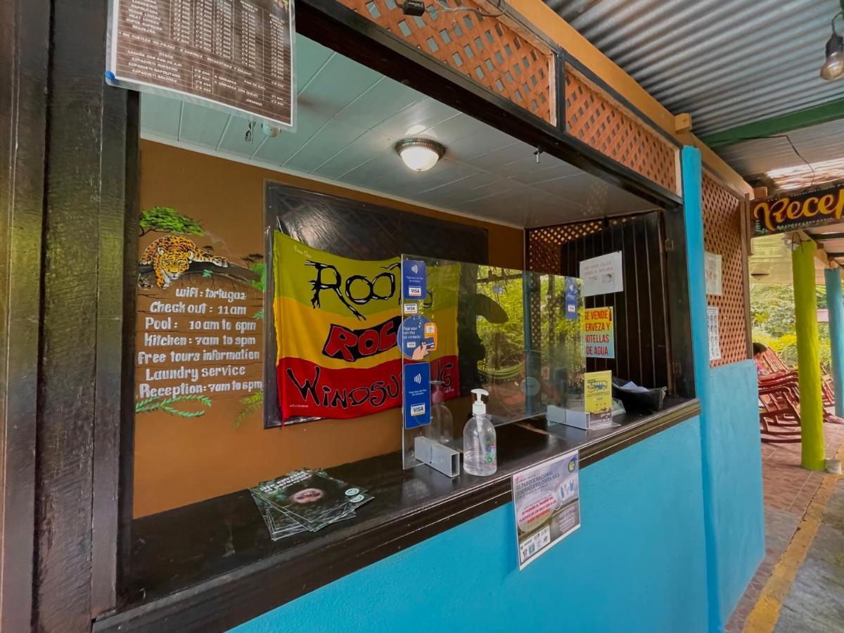 Los Amigos Jungle Hotel 托尔图格罗 外观 照片