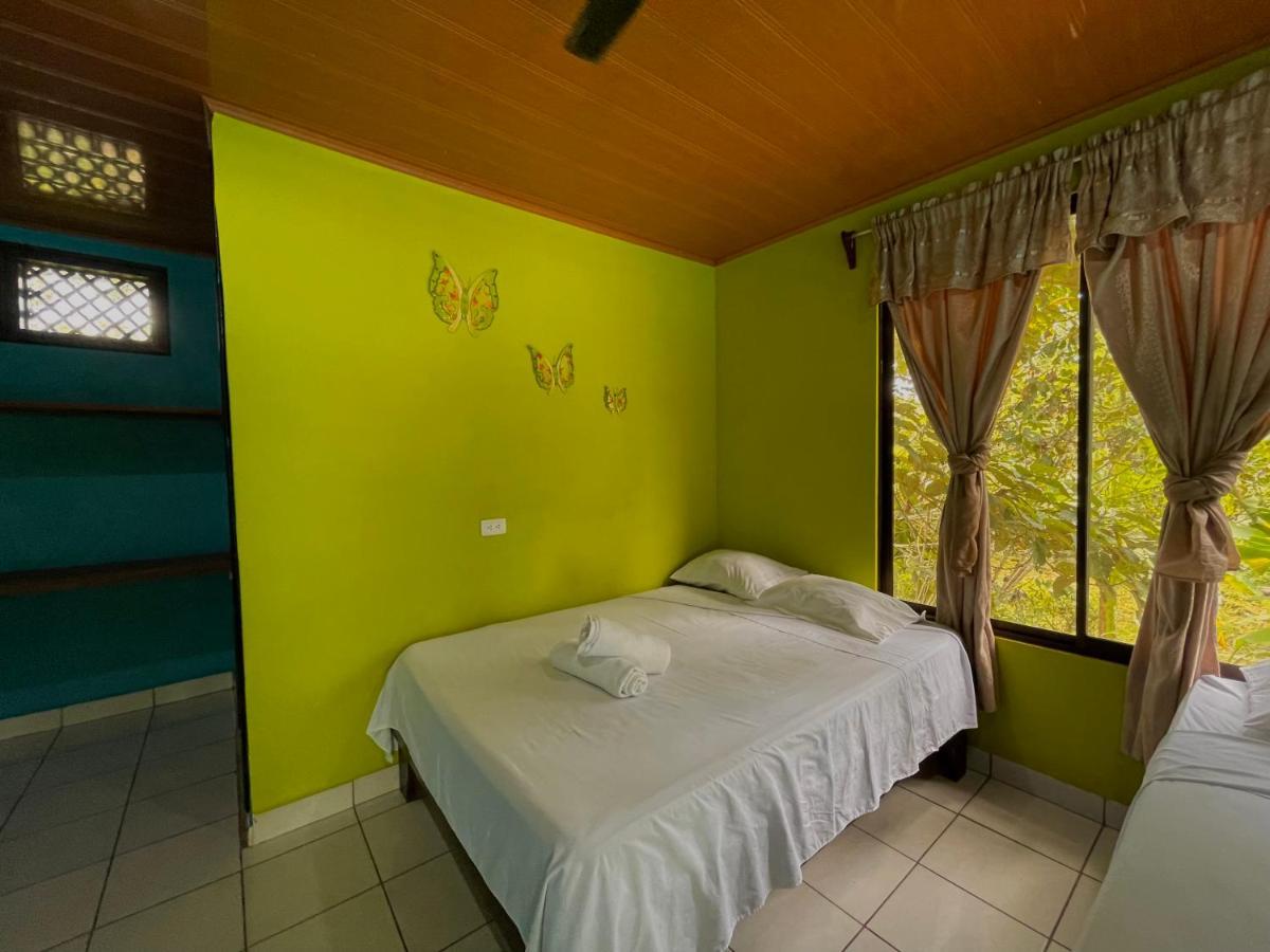 Los Amigos Jungle Hotel 托尔图格罗 外观 照片