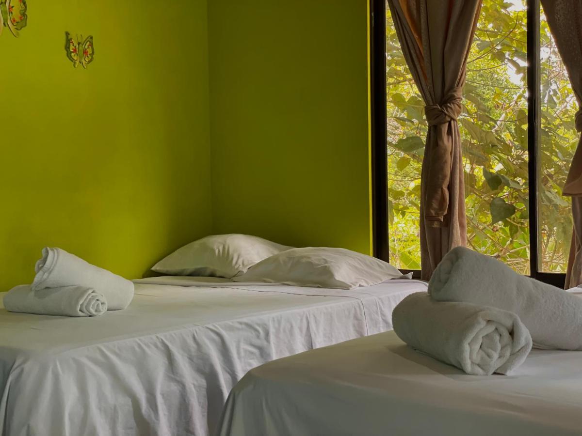 Los Amigos Jungle Hotel 托尔图格罗 外观 照片
