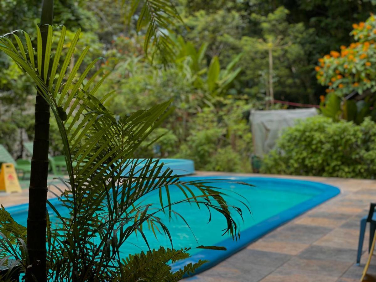 Los Amigos Jungle Hotel 托尔图格罗 外观 照片