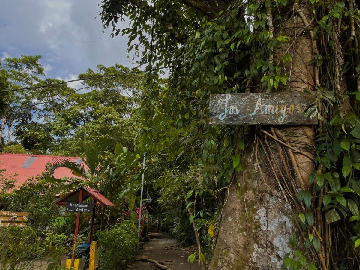 Los Amigos Jungle Hotel 托尔图格罗 外观 照片