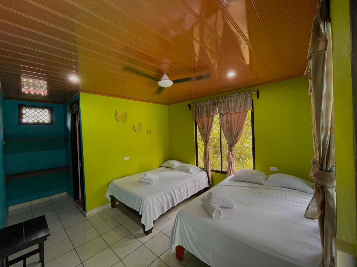 Los Amigos Jungle Hotel 托尔图格罗 外观 照片