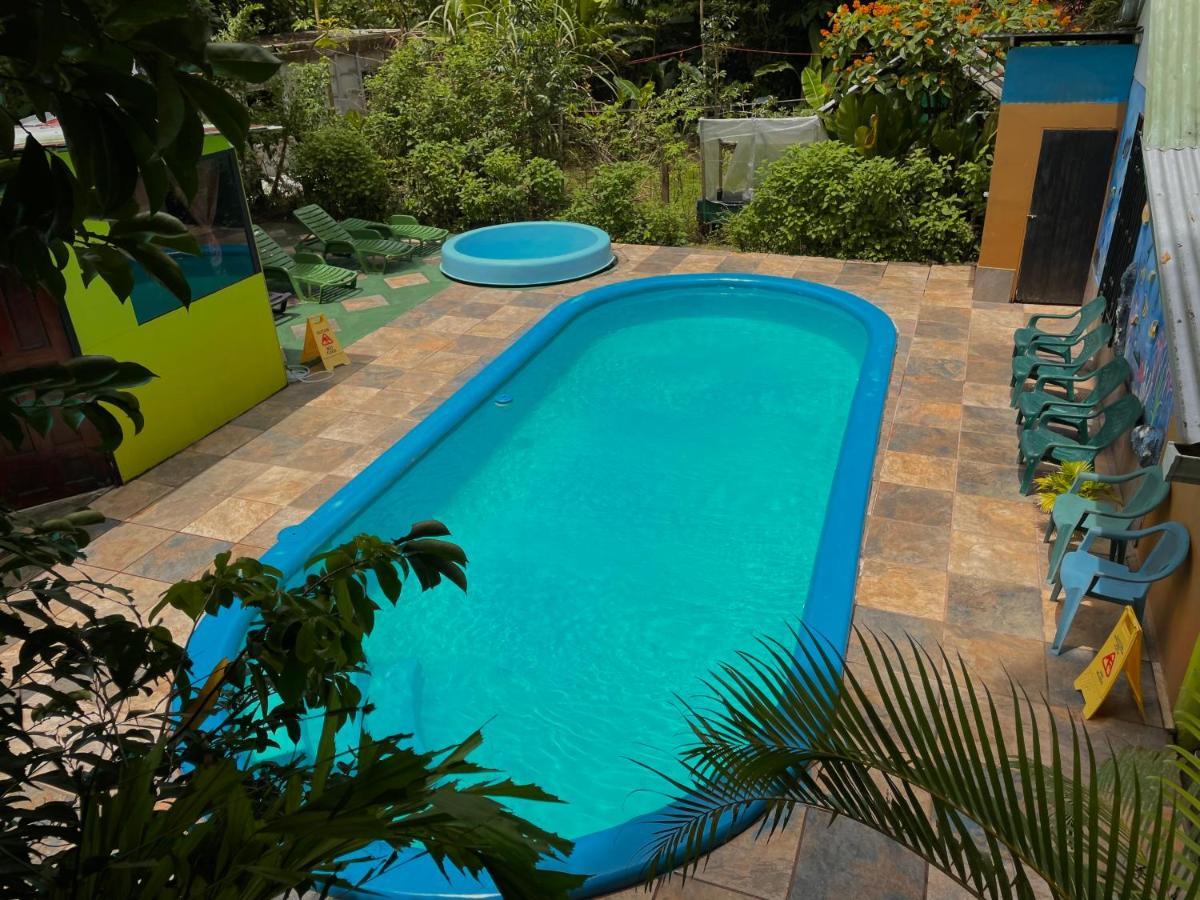 Los Amigos Jungle Hotel 托尔图格罗 外观 照片