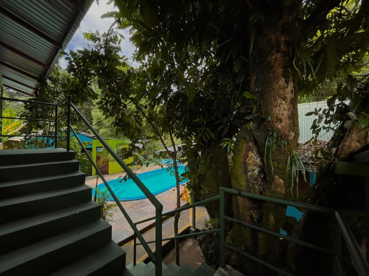 Los Amigos Jungle Hotel 托尔图格罗 外观 照片