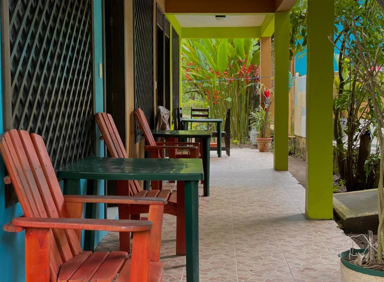 Los Amigos Jungle Hotel 托尔图格罗 外观 照片