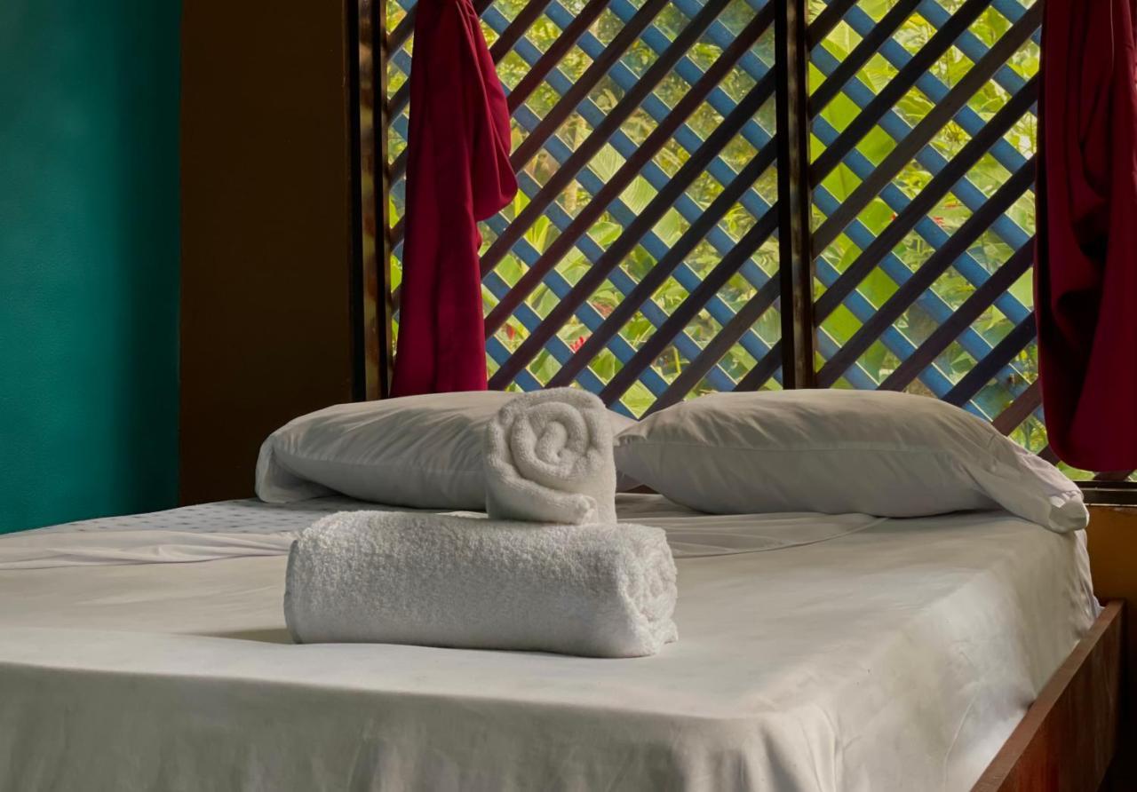 Los Amigos Jungle Hotel 托尔图格罗 外观 照片