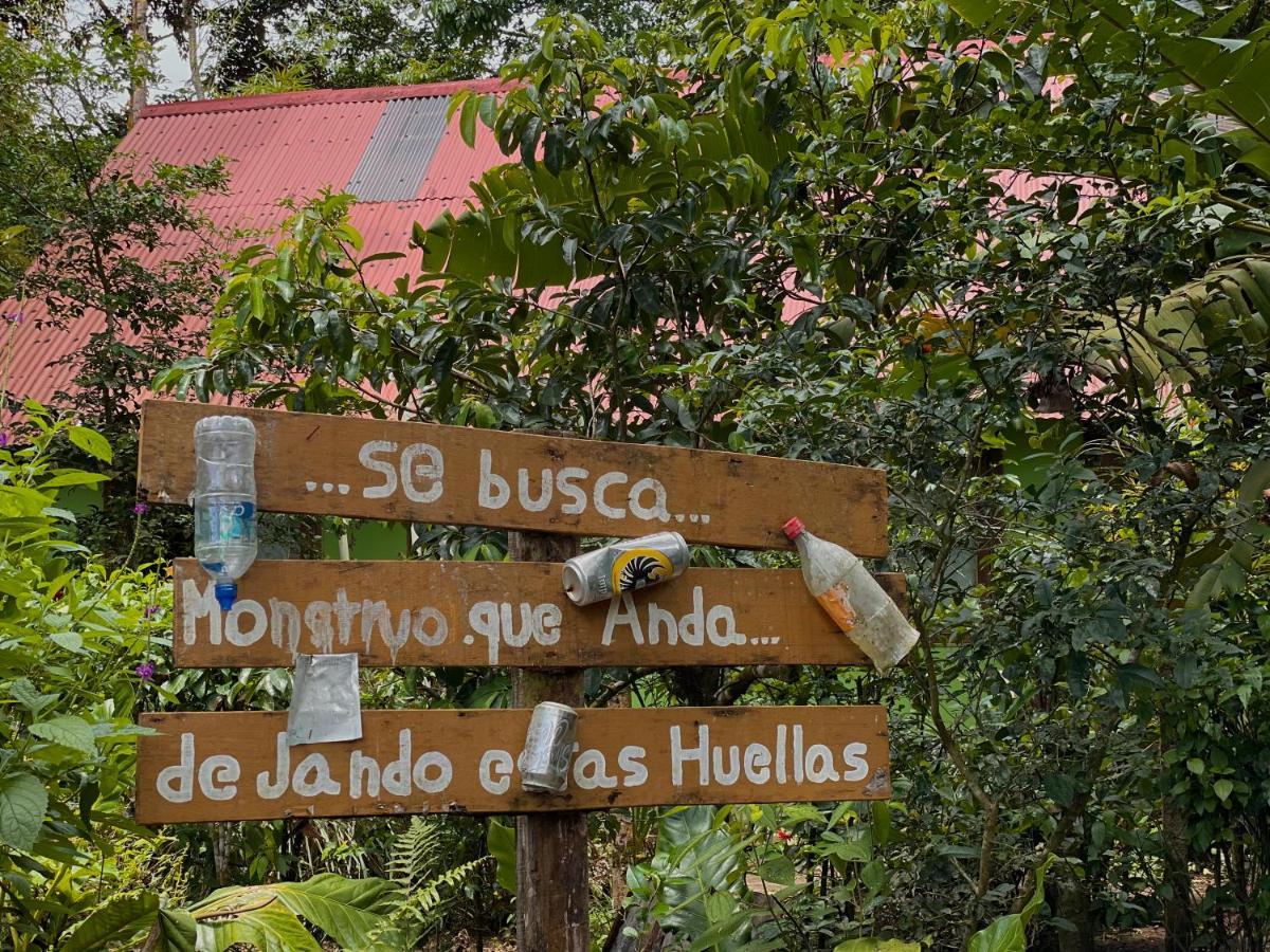 Los Amigos Jungle Hotel 托尔图格罗 外观 照片