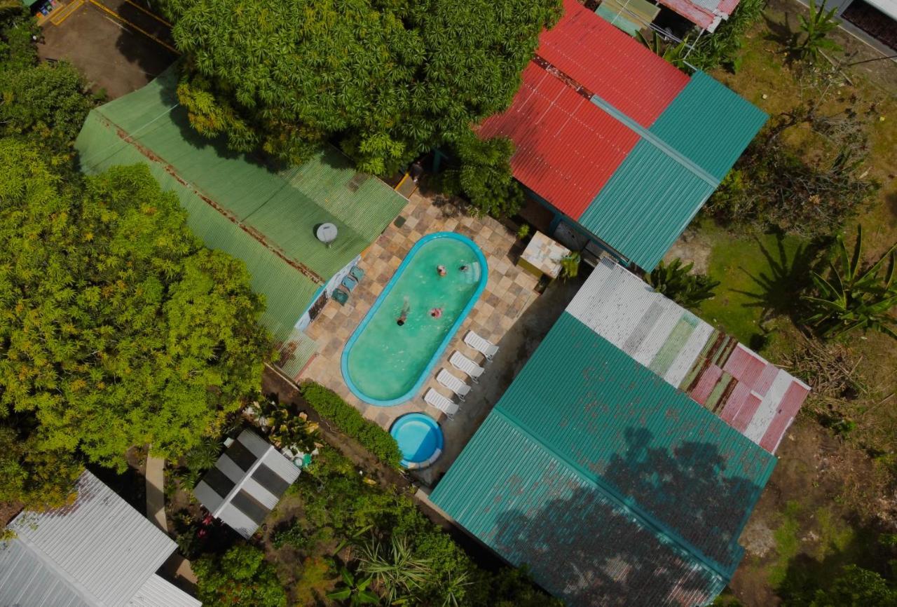 Los Amigos Jungle Hotel 托尔图格罗 外观 照片