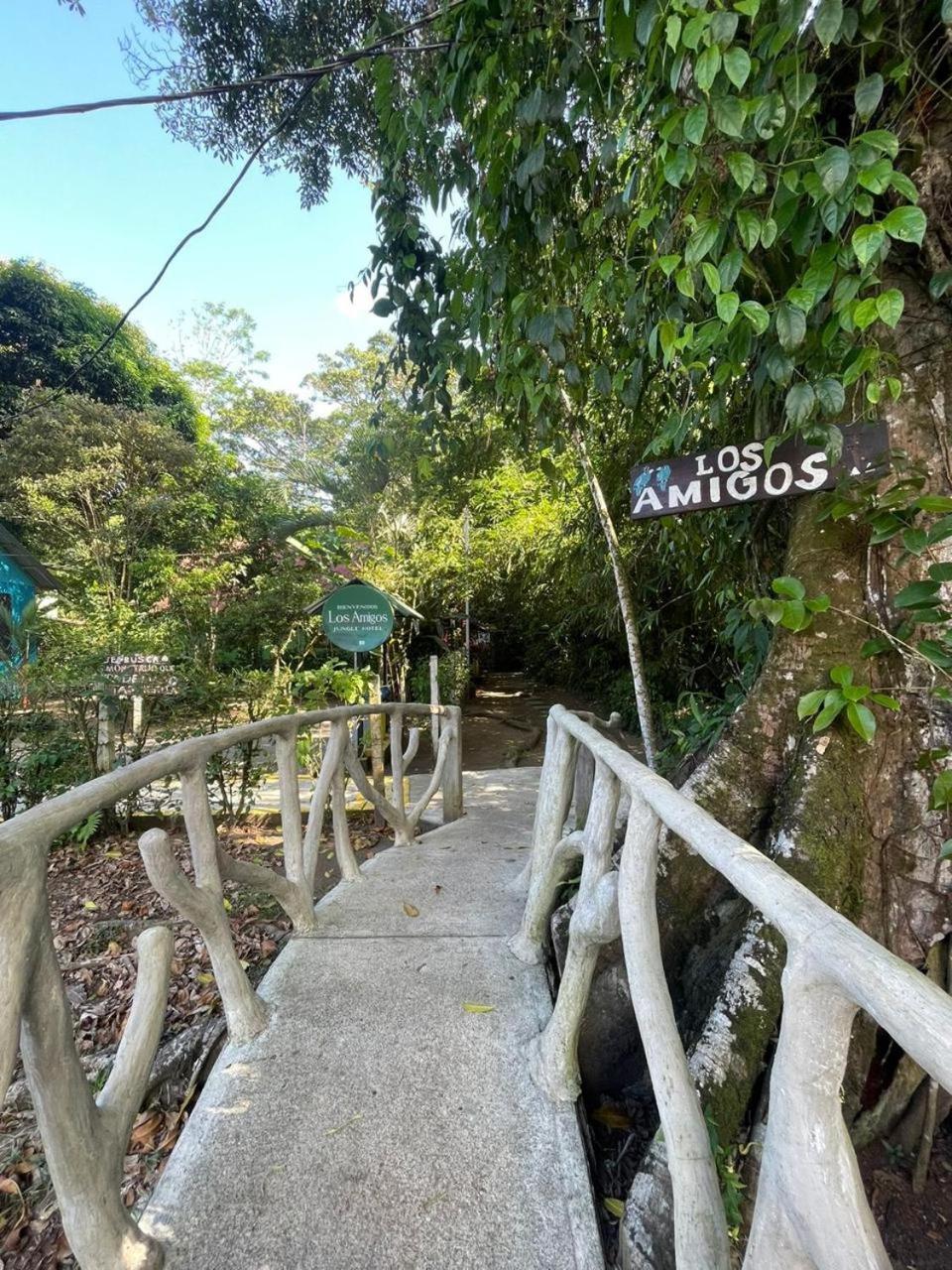 Los Amigos Jungle Hotel 托尔图格罗 外观 照片