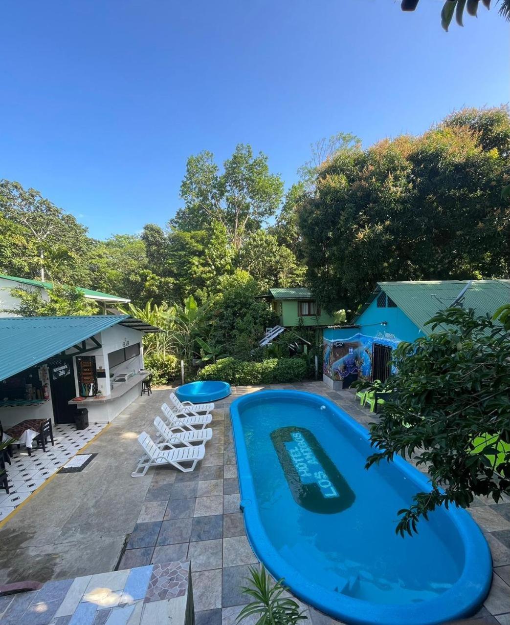Los Amigos Jungle Hotel 托尔图格罗 外观 照片