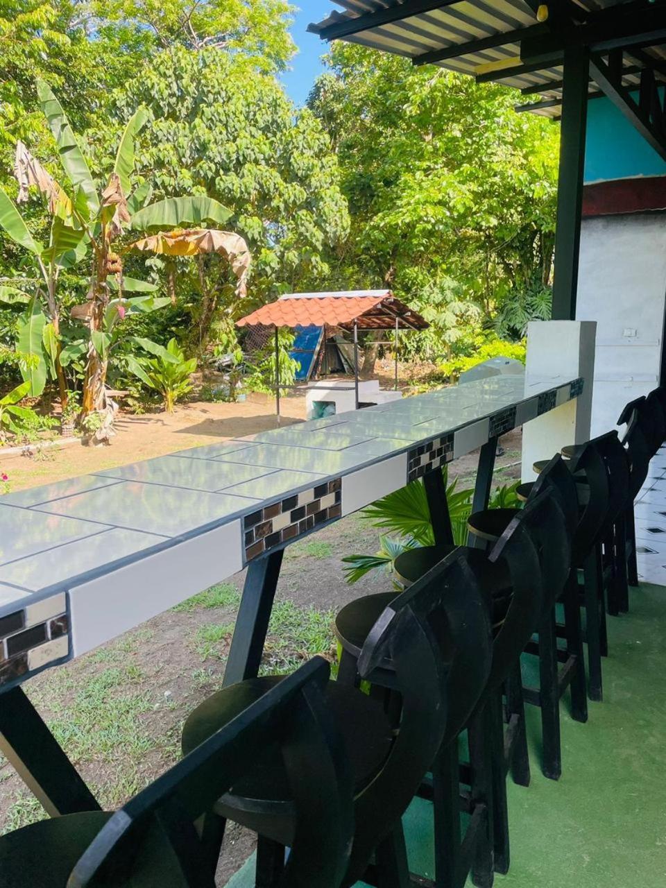 Los Amigos Jungle Hotel 托尔图格罗 外观 照片
